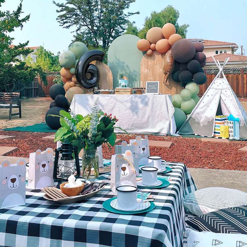 Camping Themed Birthday Party